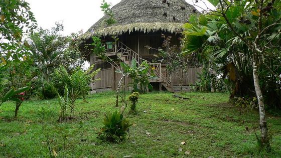 Eine Holzhütte der Bribri-Indígenas in Costa Rica. Foto (Zuschnitt): Greg Gilbert, CC BY 2.0.