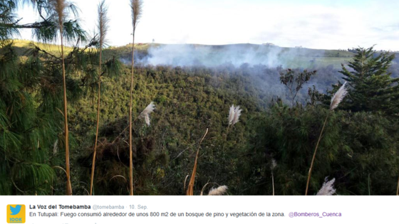Waldbrände wie hier in ecuadorianischen Tomebamba, wurden in diesem Jahr alleine 18.000 in Brasilien gezählt. Foto: Twitter