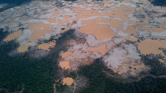 Der illegale Bergbau am Rio Madre de Dios aus der Vogelperspektive. Foto: Ministerio del Ambiente, CC BY-NC-ND 2.0