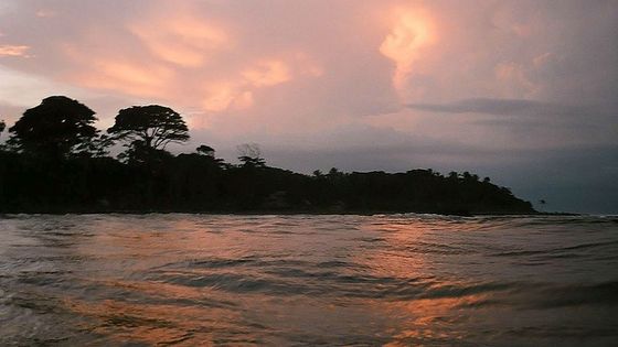 Bucht an der Grenze zwischen Costa Rica und Nicaragua. Foto: Flickr/Délirante bestiole, CC BY 2.0.