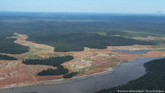 Weniger Abholzung, mehr Emissionen - die Kurzform von Brasiliens Klimabilanz klingt besser, als das Urteil der Kritiker. Foto: picture-alliance/dpa/I. Risco-Rodriguez