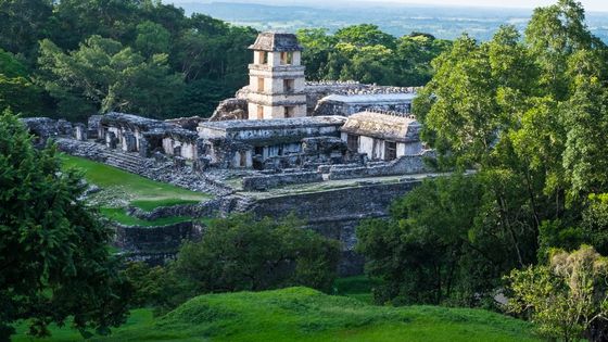 Die Ruinen von Palenque zählen zu den bedeutendsten Zeugnissen der Maya-Kultur in Mexiko. (Foto: Adveniat/Hoch)