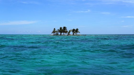 Das karibische Meer vor der Küste Belizes. Foto: Flickr/Lucía García González