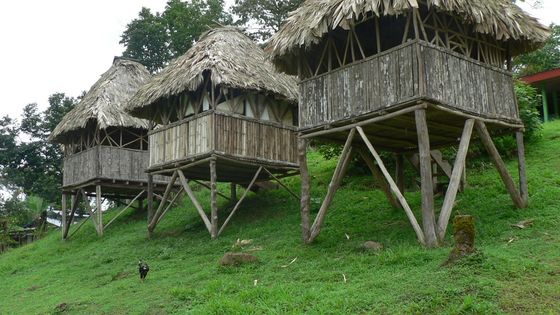 Indigene in Costa Rica müssen für das Land auf dem sie leben, kämpfen. Foto: Greg Gilbert. CC BY 2.0