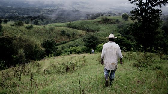 Das Land der autonomen indigenen Gemeinde in der Hochebene des Bundestaates Chiapas in Mexiko. (Foto: Simaitis/Adveniat)