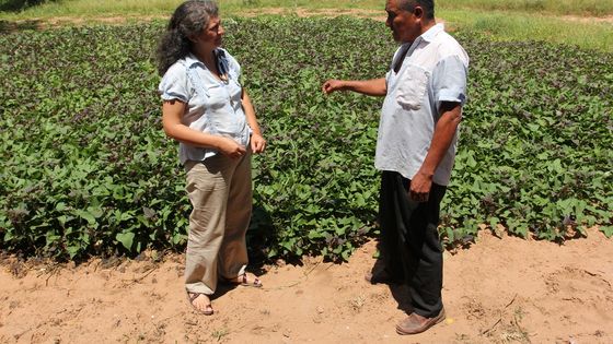 Ordensschwester Isa im Gespräch mit einen Bauern über die Probleme mit der Ernte und dem Wetter. (Symbolfoto) Foto: Adveniat/Matzel