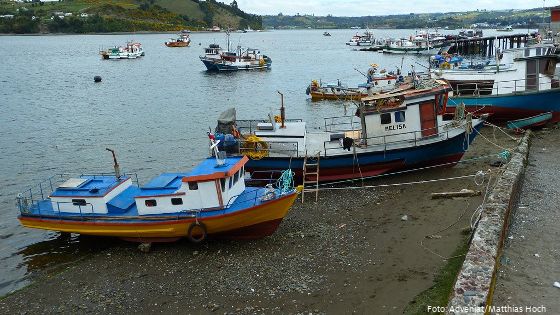Die Lachsindustrie vor Chiles Küste zerstört die Lebensgrundlage der kleinen Fischer. Foto (Hafen von Dalcahue auf Chiloe): Adveniat, Matthias Hoch