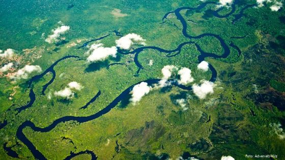 Luftaufnahme vom Amazonas-Urwald. Foto: Adveniat/Milz