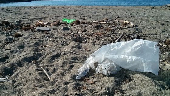 Plastikmüll verschmutzt die Meere und stellt eine Gefahr für die in und am Wasser lebenden Tiere dar. Foto: sebastiankauer, CC BY-SA 2.0