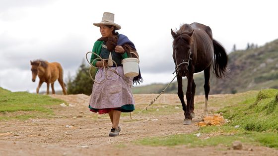 Eine Quechua-Bäuerin mit ihrem Pferd in Combayo. Foto: Adveniat/Pohl