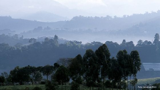 Der Nationalpark Santa Marta in der Sierra Nevada soll laut Abkommen zwischen Regierung und Indigenen bergbaufrei bleiben. Foto: Sierra Cauca in Kolumbien, Adveniat/Pohl.