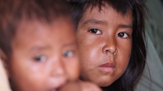 Fast die Hälfte aller indigenen Minderjährigen leider in Paraguay unter chronischer Unterernährung. Foto: Adveniat/Matzel