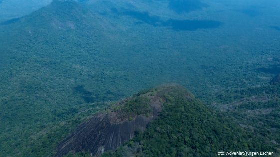 Amazonasurwald in Brasilien. Foto: Adveniat/Jürgen Escher