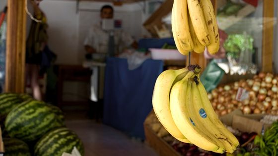Gegen Chiquita wurde geklagt. Der Bananenmulti weißt die Anschuldigungen zurück. Foto: Melissa Maples. CC BY-NC 2.0