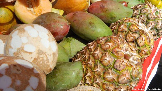 In Surinam wurden Lebensmittel von Märkten auf ihre Pestizidbelastung getestet. Die Werte waren erschreckend und drohen den Export nach Europa zu gefährden. Symbolbil.