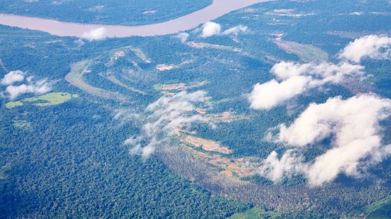 Das Amazonasgebiet von oben, während des Landeanfluges in der Nähe Puerto Maldonado. Foto: Adveniat/Umlauf