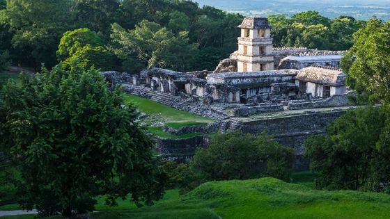 Die Ruinen von Palenque zählen zu den bedeutendsten Zeugnissen der Maya-Kultur in Mexiko. (Foto: Hoch/Adveniat)