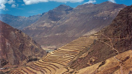 Das Volk der Inka machte im 15. Jahrhundert den Terrassenbau populär. Noch heute prägt er das Bild der ehemaligen Inka-Siedlungsgebiete. Foto: Alberto..., CC BY 2.0