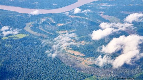 Aus der Luftperspektive sind die Schäden des illegalen Goldschürfens im Amazonas-Urwald - hier in der Nähe von Puerto Maldonado, Peru - deutlich zu erkennen. Foto: Adveniat/Umlauf