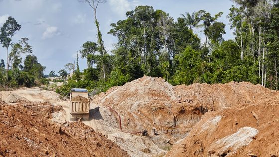 Bagger hinterlassen immense Schäden im Amazonas-Regenwald. Foto: Adveniat/Umlauf