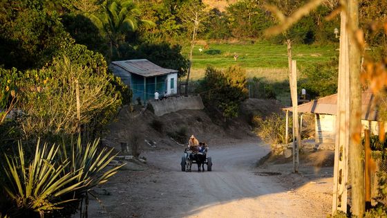 Kuba möchte grüner werden: hier eine Strasse im Dorf San Anselmo. Foto: Adveniat/Steffen