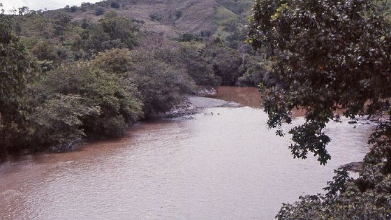 Die Gemeinden am Rio Tabasara fürchten um ihre Lebensgrundlage, wenn der Staudamm Barro Blanco in Betrieb gehen sollte. Foto: Rictor Norton, David Allen, CC BY 2.0