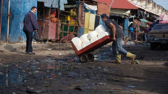 Ein Lastträger schiebt einen mit Käse beladenen Handwagen auf dem Markt "Las Pulgas" in Maracaibo. (Symbolfoto: Bello/Adveniat)