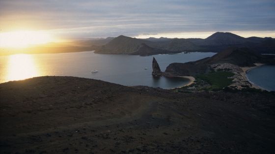 Die Galápagos-Inseln besitzen ein einzigartiges Ökosystem. Foto: Derek Keats. CC BY 2.0.
