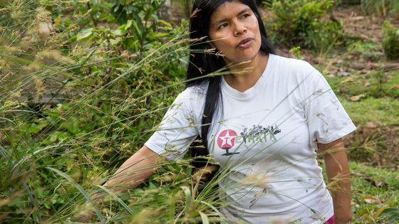 Patricia Gualinga setzt sich für die Rechte der indigenen Völker ein. Foto: Adveniat/Pohl