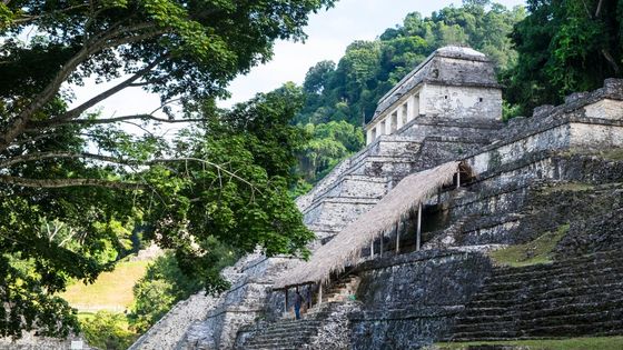 Die Ruinen von Palenque zählen zu den bedeutendsten Zeugnissen der Maya-Kultur in Mexiko. Foto: Adveniat/Hoch