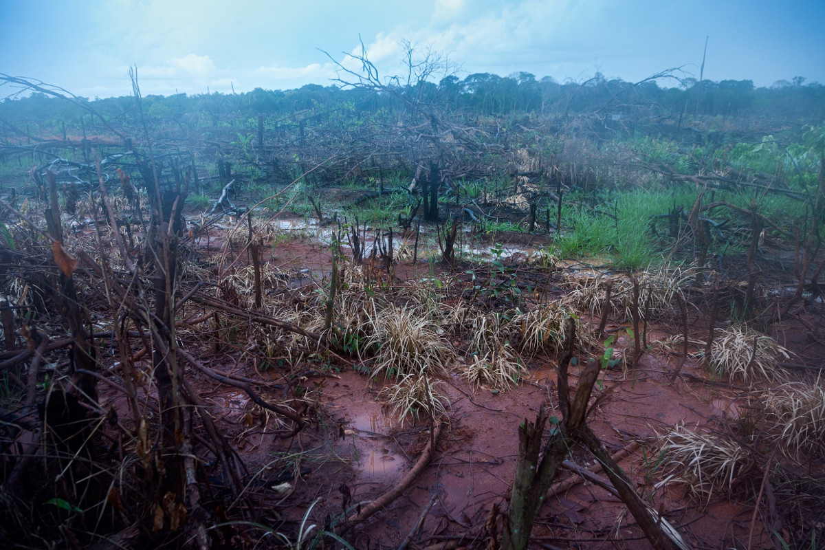 Lateinamerika Brasilien Brandrodung Amazonas Adveniat