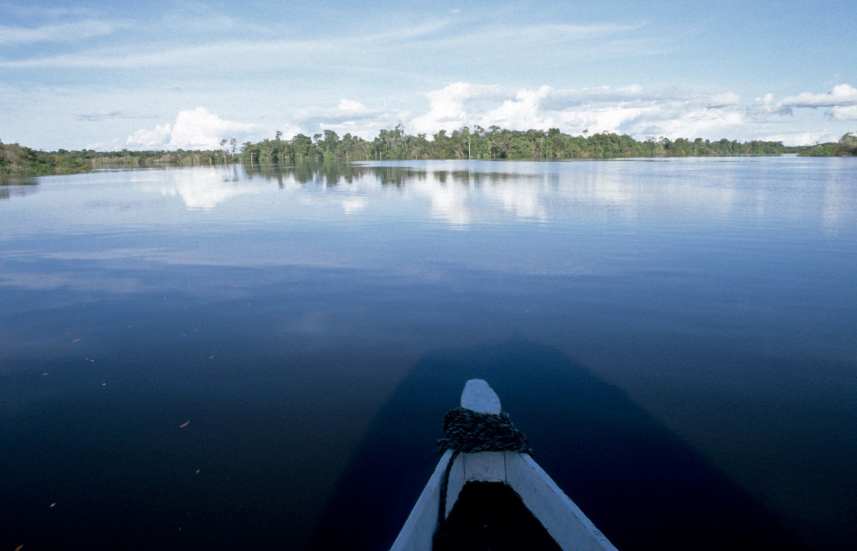 Lateinamerika Brasilien Amazonas Regenwald Adveniat