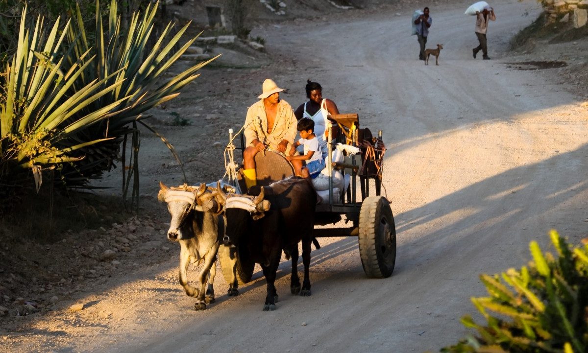 Lateinamerika Kuba Karibik Ochsenkarren Adveniat