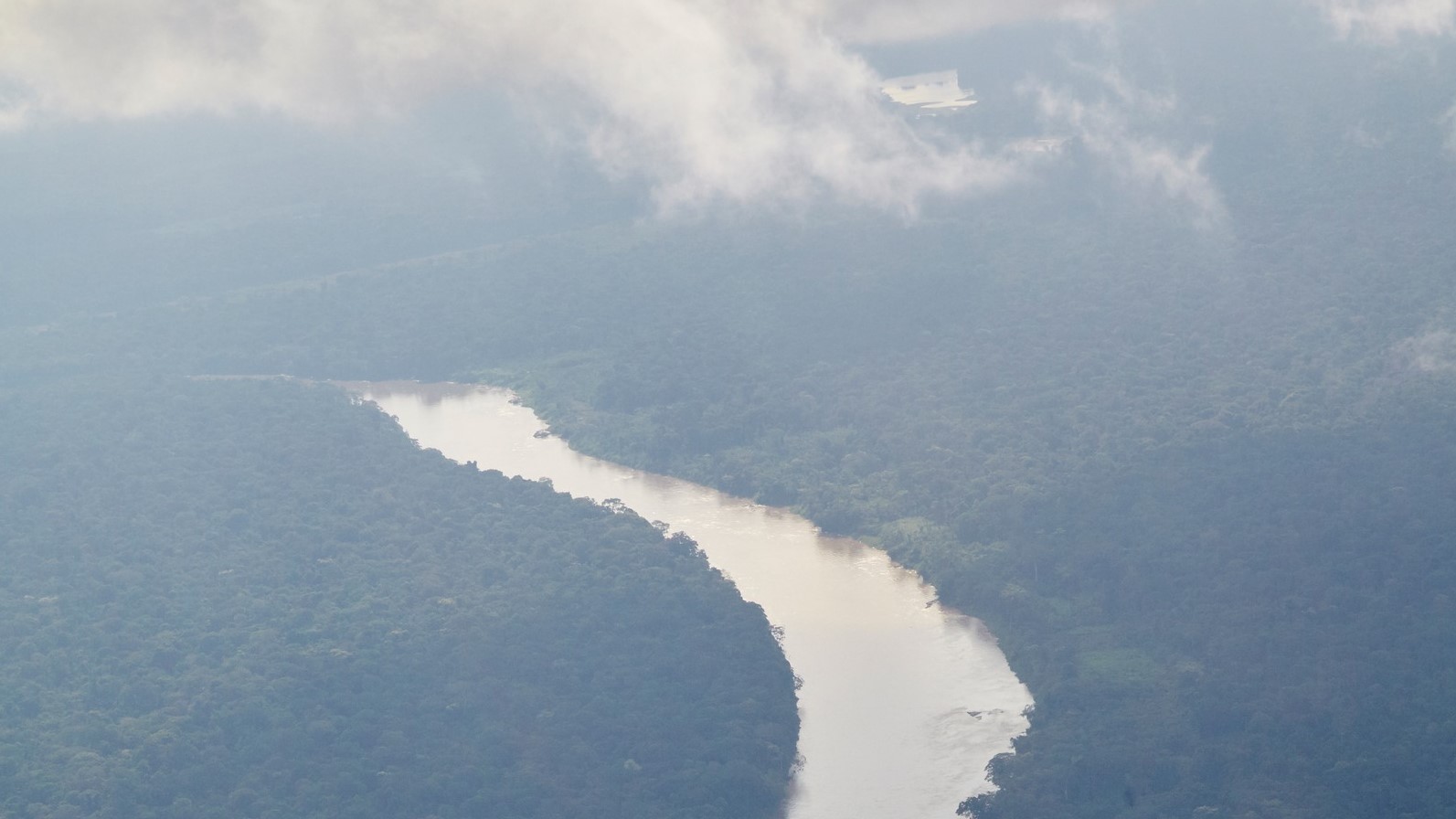 Lateinamerika Peru Amazonas Regenwald Luftbild