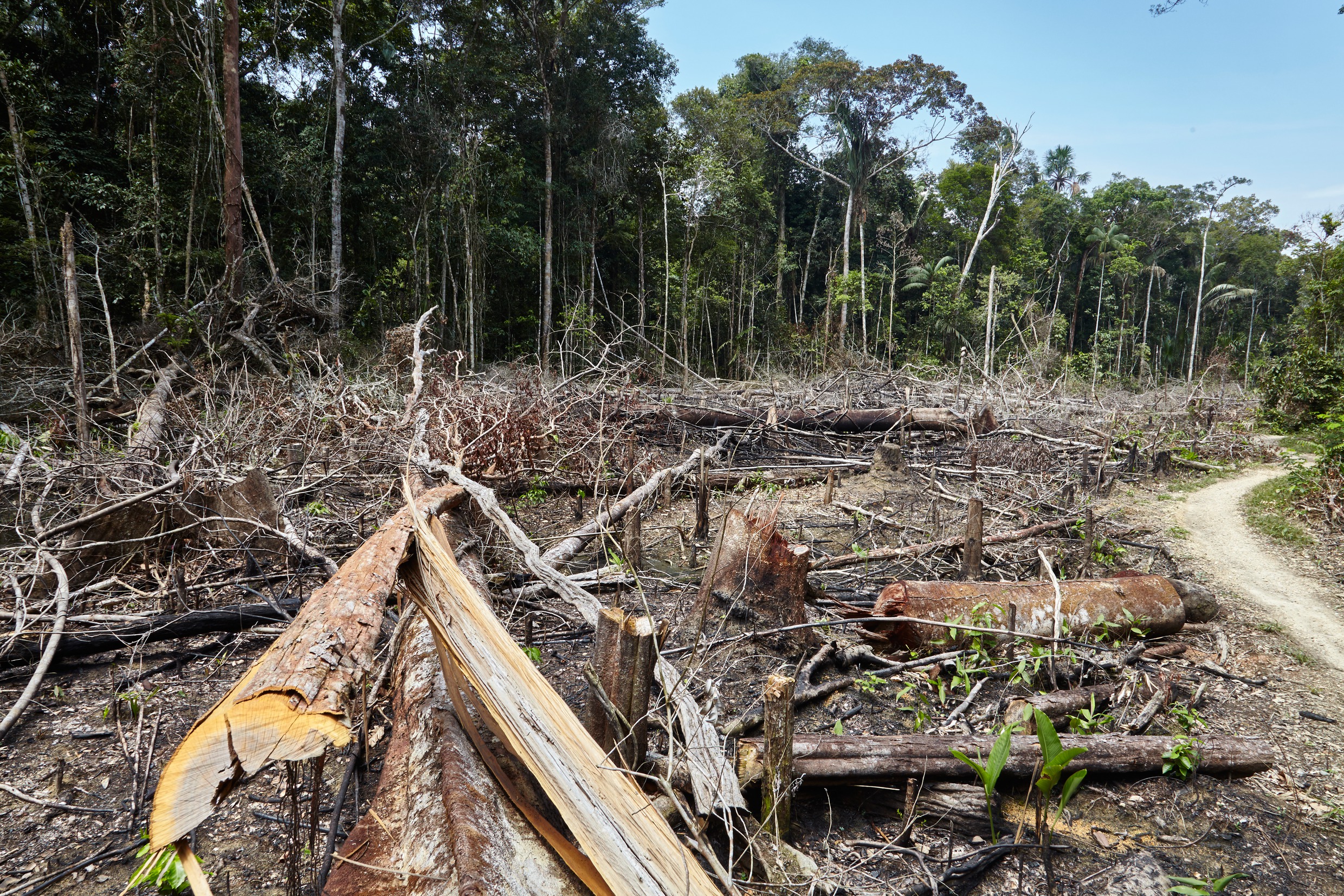 Amazonas Peru Regenwald Adveniat Lateinamerika