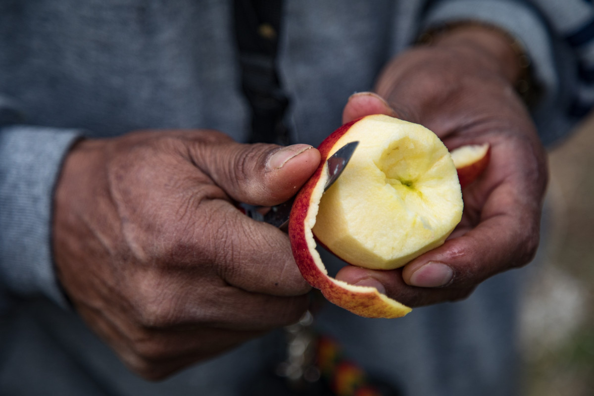 Bolivien Lateinamerika Anden Apfel