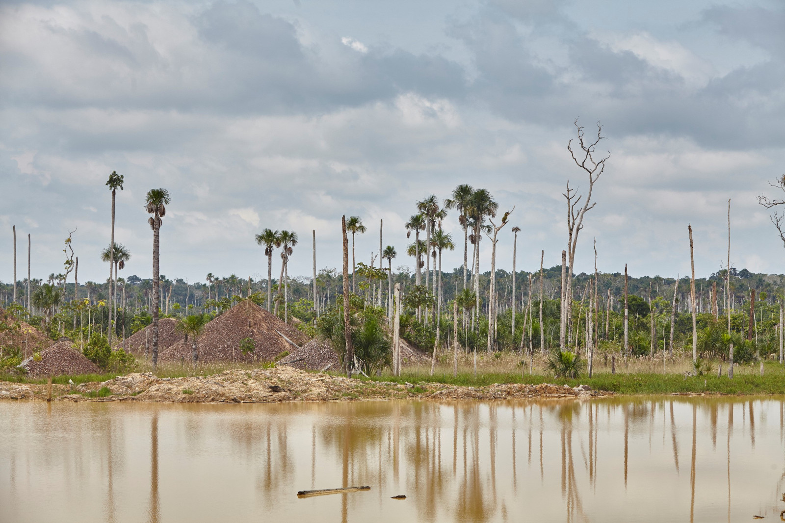 Amazonas, Goldgräber, Umweltzerstörung, Urwald
