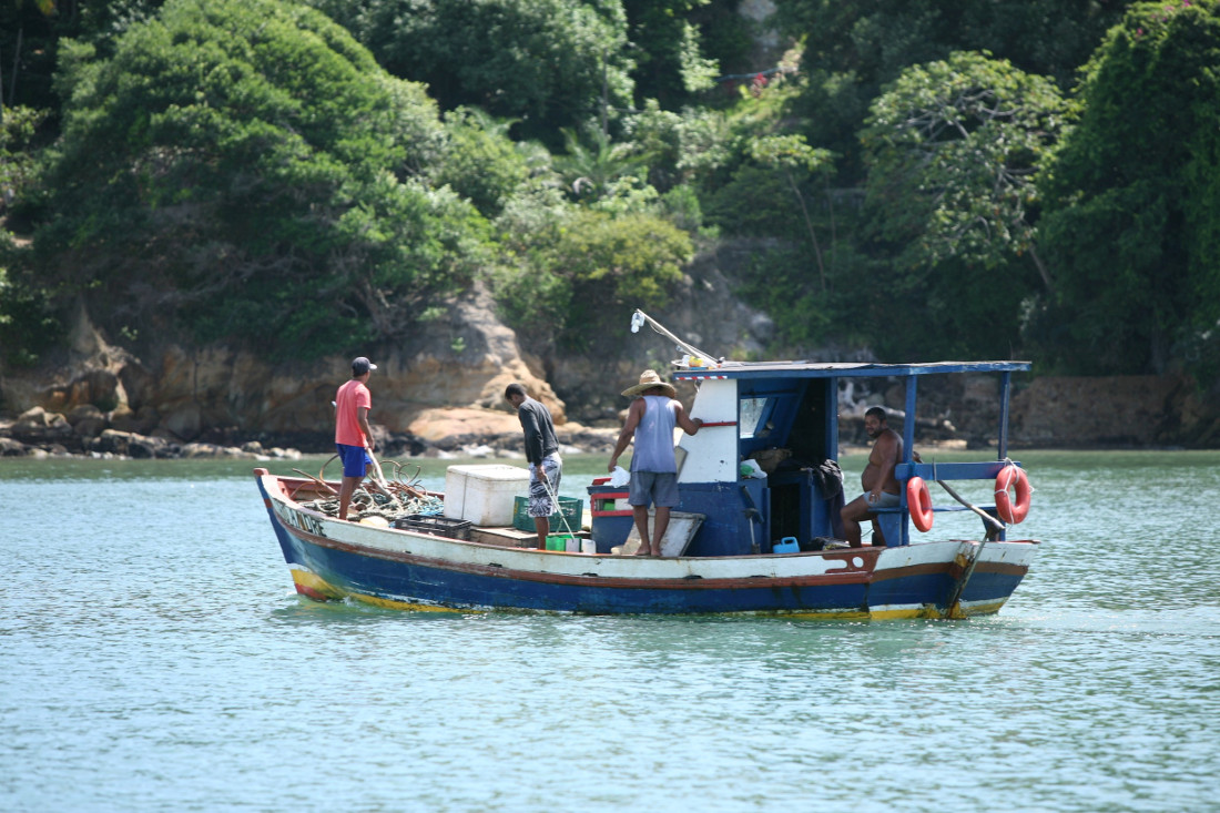 Brasilien, Mangroven, Küste, Fischer