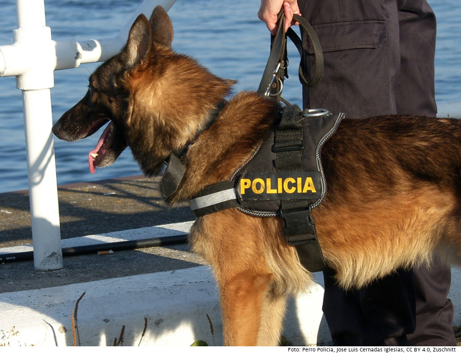 Polizeihund, Chile, Coronavirus, Covid-19
