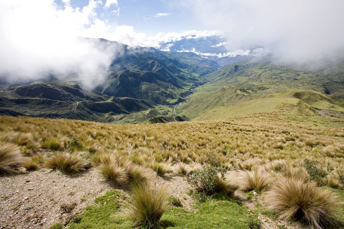 Bolivien, Hochebene, Anden, Landschaft