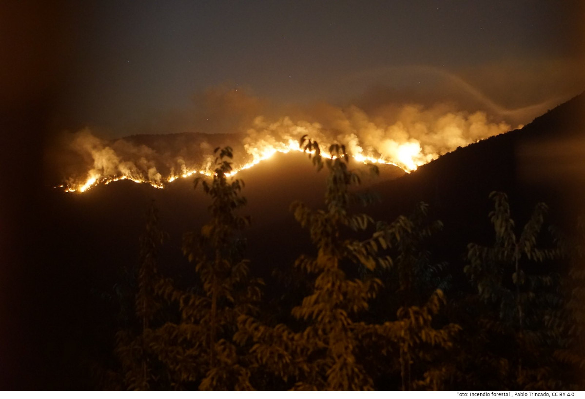 Waldbrand 2017 in der Nähe der Hauptstadt Santiago de Chile.