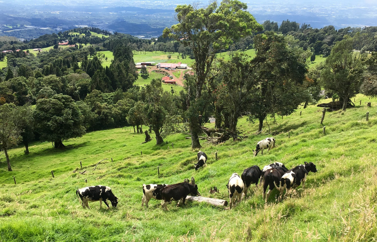 Costa Rica, Landwirtschaft, Klima