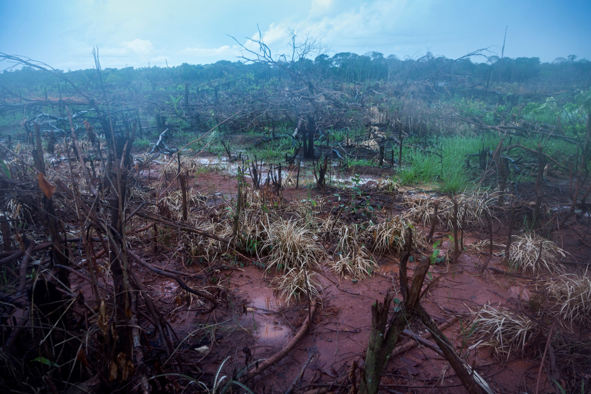 Brandrodung im südwestlichen Amazonasgebiet in Brasilien an der Transamazónica. Foto: Adveniat/Jürgen Escher