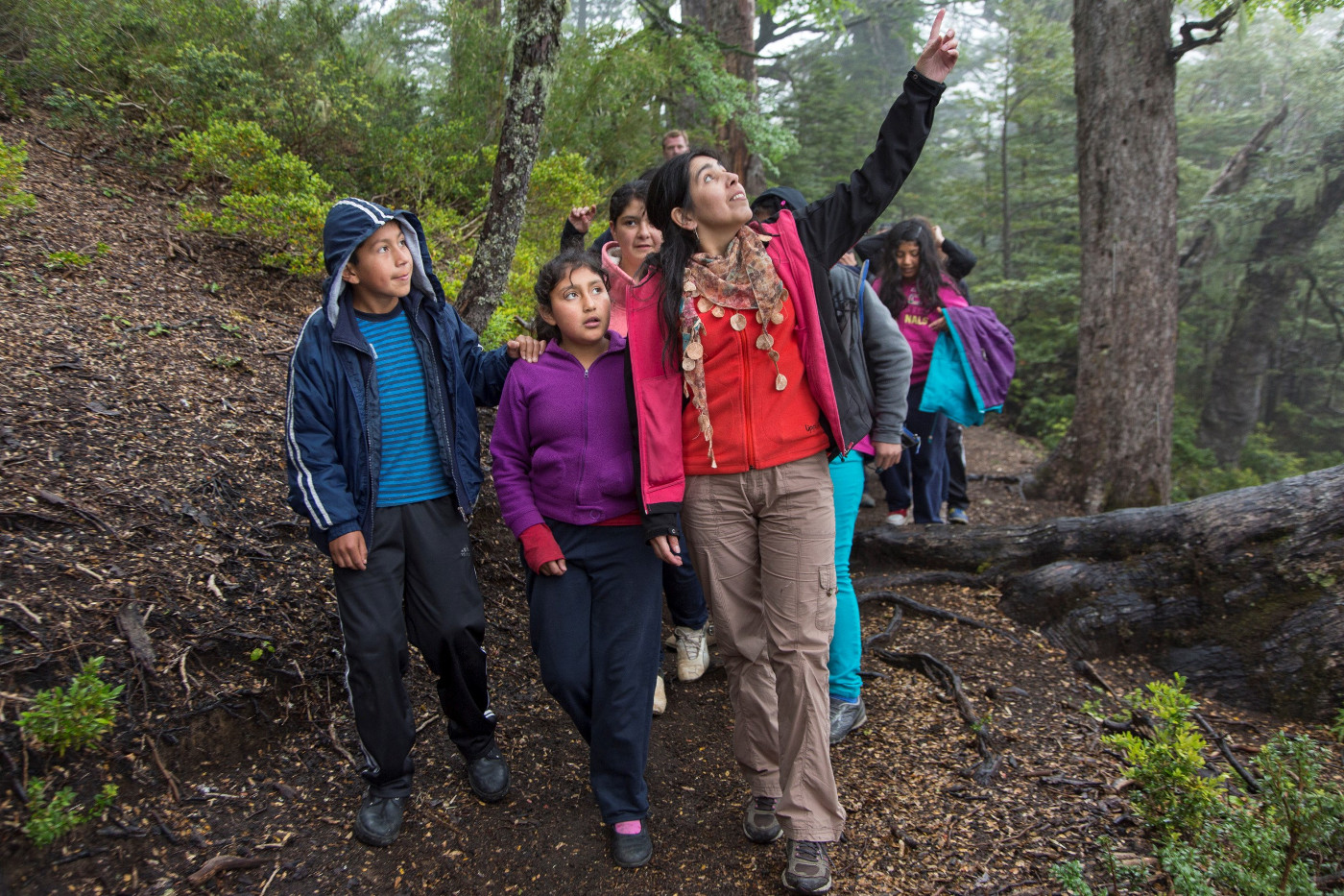 Die chilenische Mapuche-Grundschullehrerin Pamela del Carmen Tripailaf Lefio macht mit ihrer Klasse einen Ausflug in den Nationalpark Conguillio, um den Kindern die Bedeutung der Natur und des Umweltschutzes nahezubringen. Foto (2012): Adveniat/Jürgen Escher