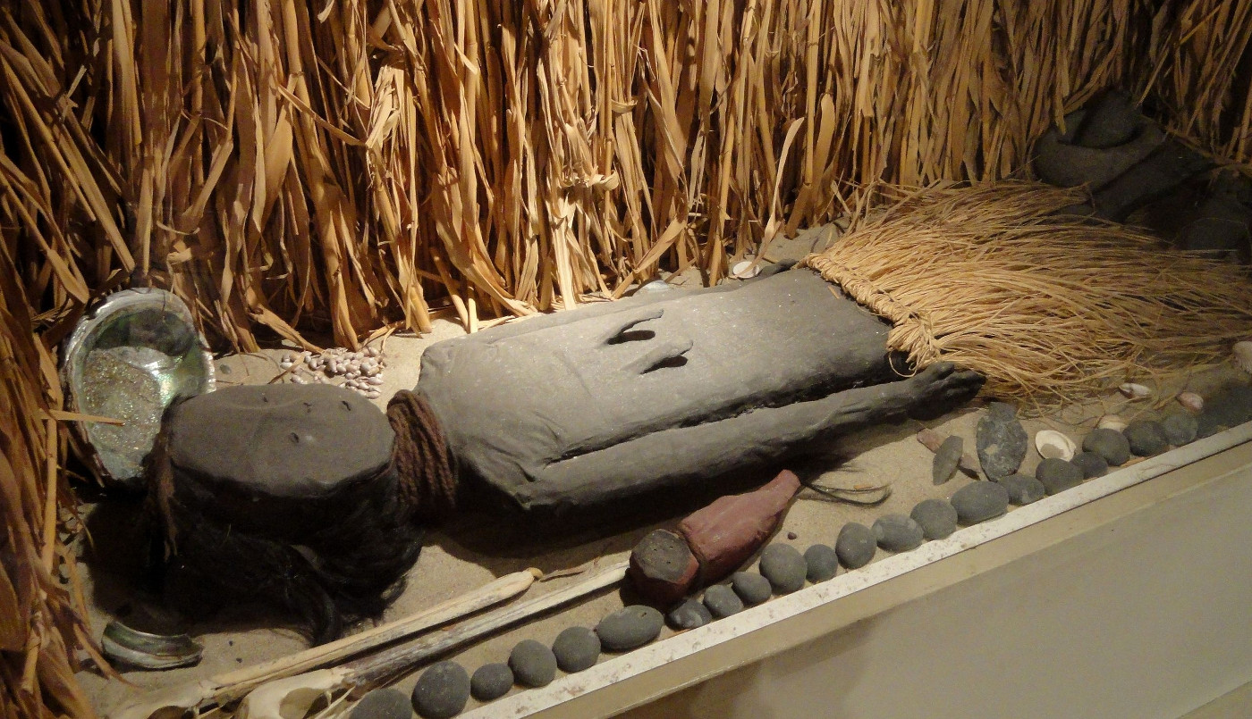 Ein Mumie der Chinchorro-Kultur in einer Ausstellung im San Diego Museum of Man in Kalifornien, USA, 2013. Foto: Daderot, wikimedia, CCO1.0