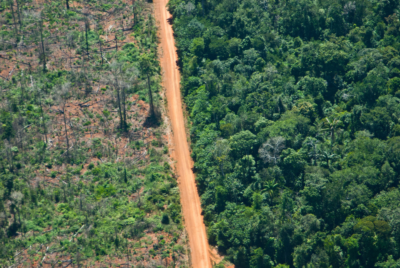 Die Luftaufnahme aus der Nähe von Santarém, Brasilien, zeigt links der Straße gerodeten und rechts intakten Amazonas-Urwald. Foto: Thomas Milz/Adveniat