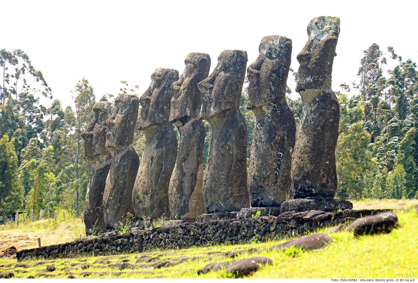 Die Osterinsel ist berühmt für ihre Moái-Steinskulpturen der Rapa-Nui-Kultur. Vor der Corona-Pandemie haben sie jährlich tausende Touristen auf die Insel gelockt. Foto: Ahu Akivi, Dennis Jarvis, CC BY-SA 4.0