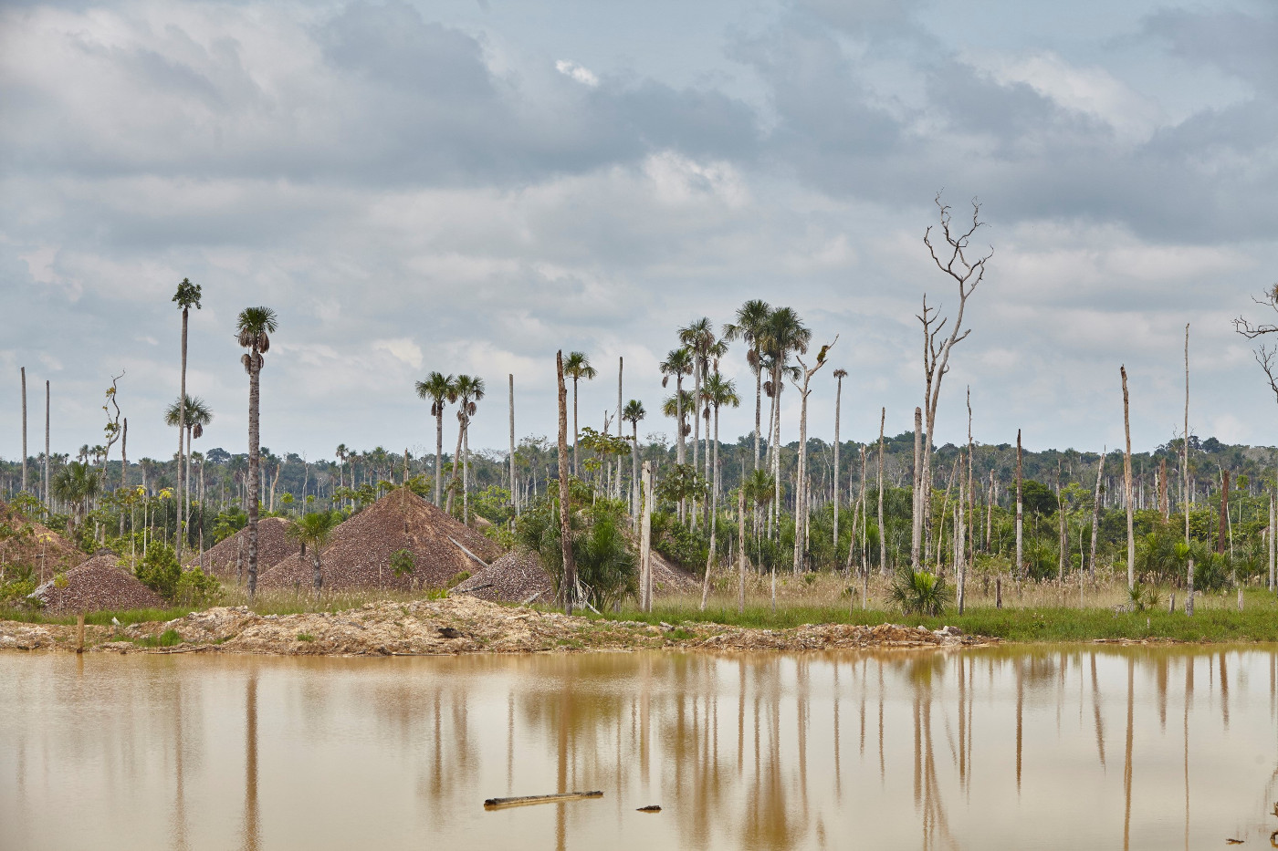 Der illegale Bergbau im Amazonasgebiet verseucht Wasser und Böden. Die Bäume rund um diese verlassene Goldgräberstelle in Peru sind abgestorben. Foto: Adveniat/Tina Umlauf 