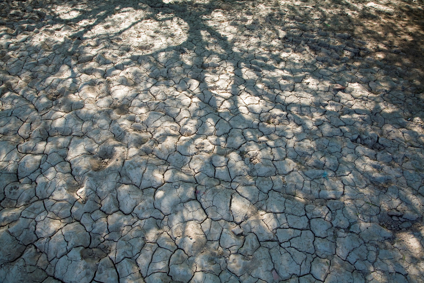 Von der Dürre ausgetrockneter, rissiger Boden. Foto (Symbolbild): Adveniat/Jürgen Escher