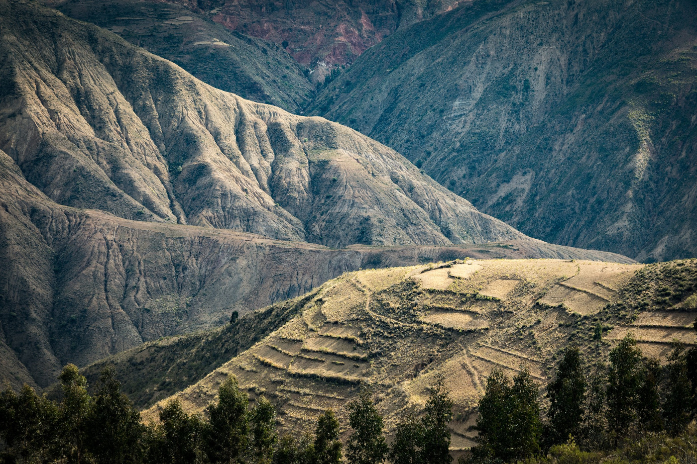 Nachhaltige Landwirtschaft und Bewässerung auf Terrassen begleitet von Wiederaufforstung in den bolivianischen Anden. Symbolfoto: Adveniat/Martin Steffen